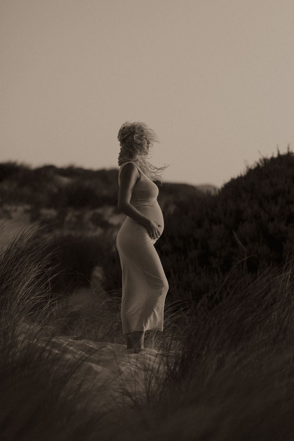 Maternity photoshoot in tall grass during sunset.