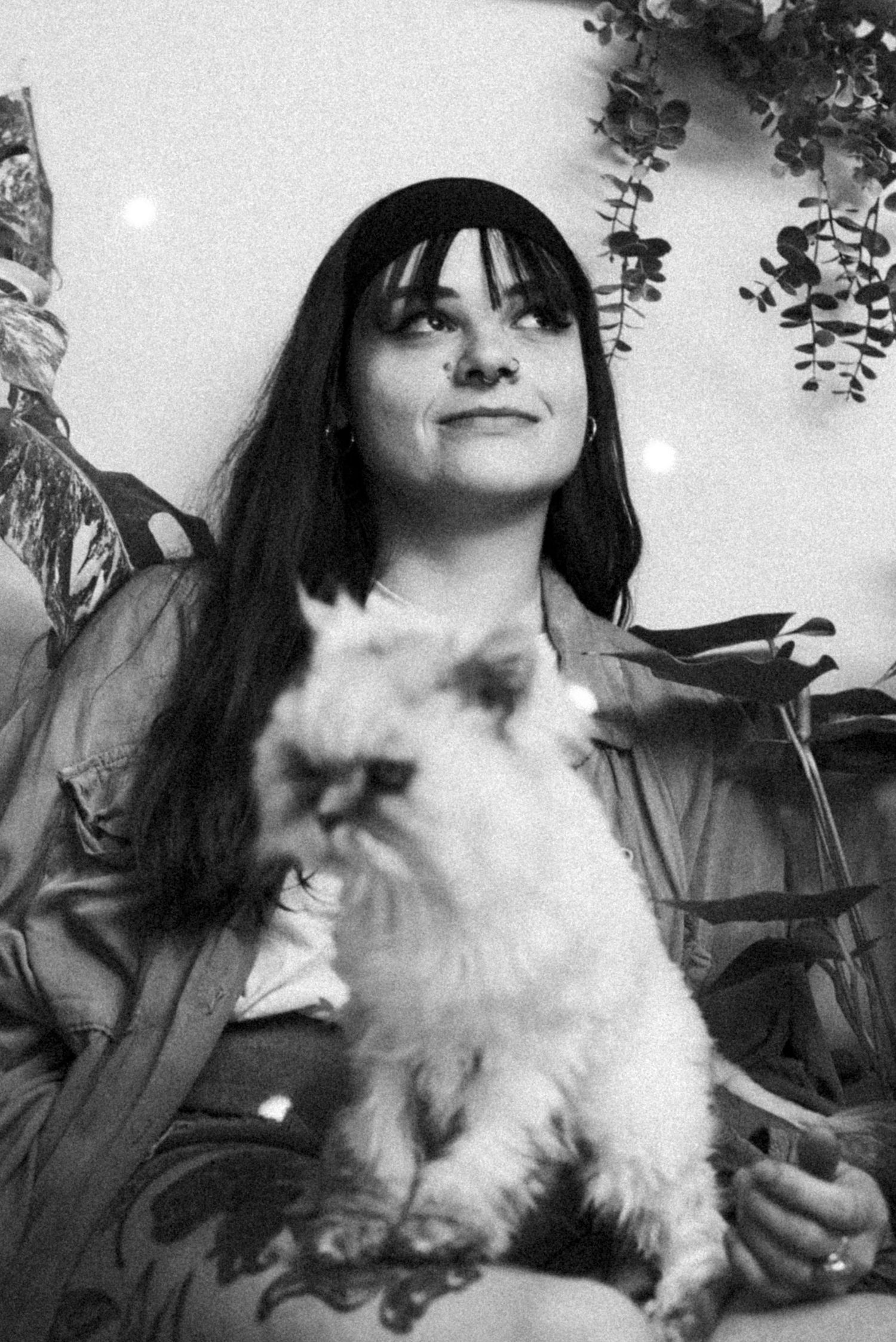 shooting photo portrait, souvenirs, chat persan, shooting portrait Limoges
Photographe Estelle Lureau