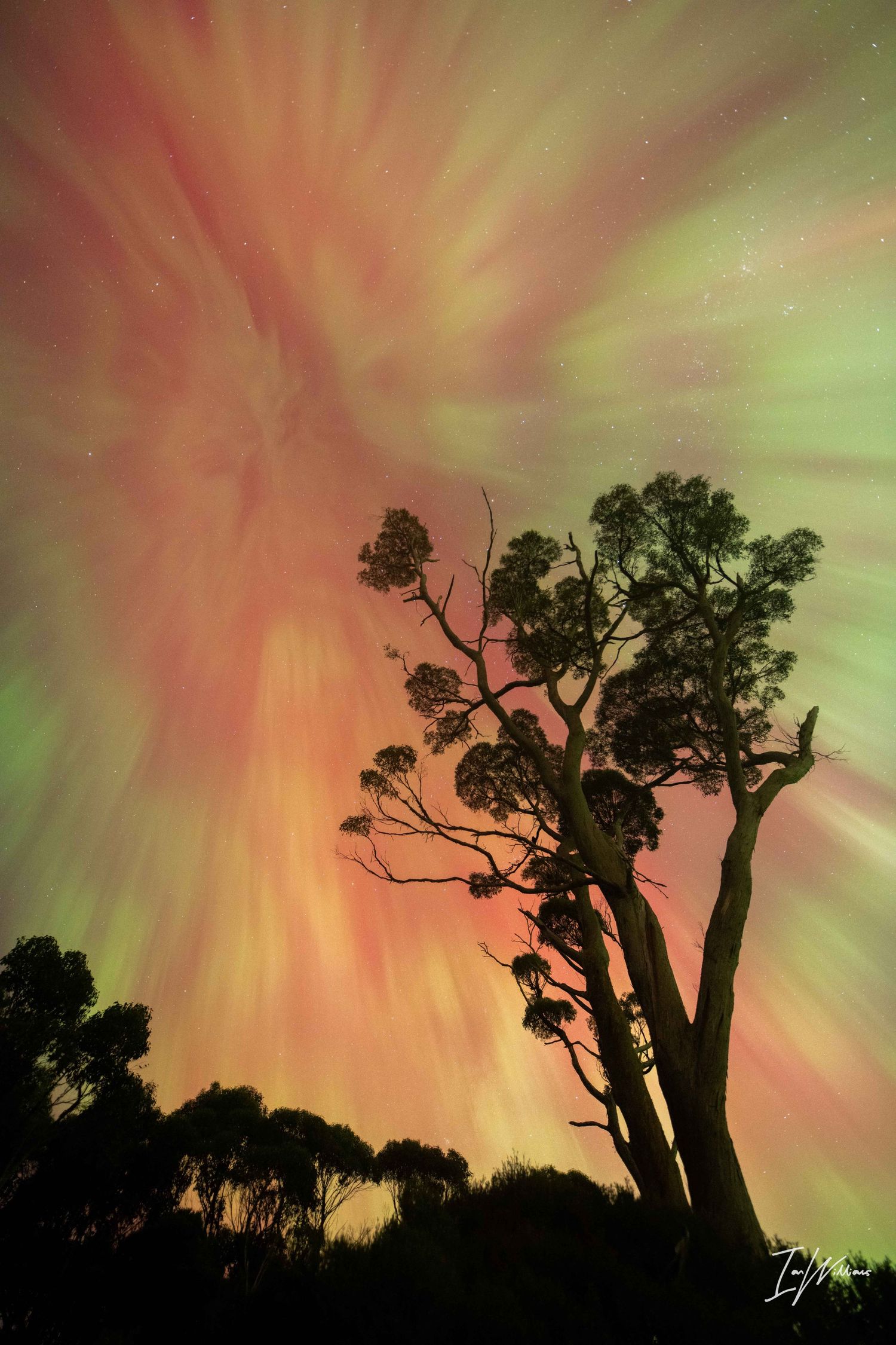 Aurora Australis, Tasmania, 11 May 2024