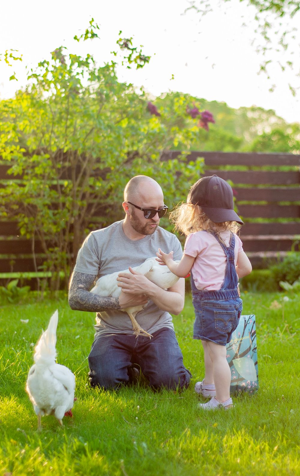 A person in glasses kneeling with a child in overalls as they look at white rabbits on a sunny lawn with bushes behind them.