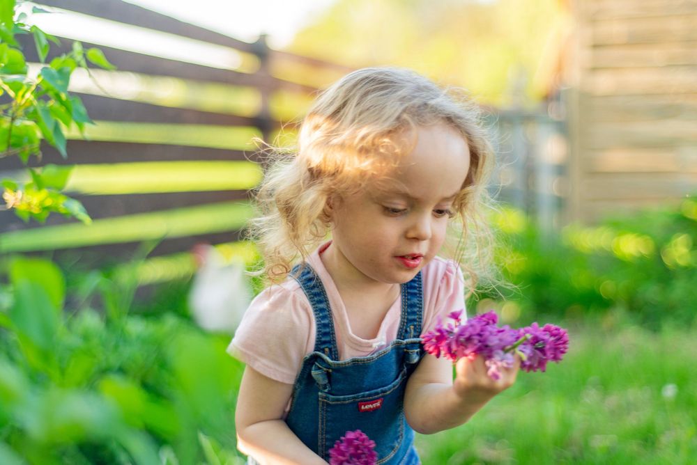 Young child in denim overalls gently smelling vibrant purple flowers in a sunny garden.