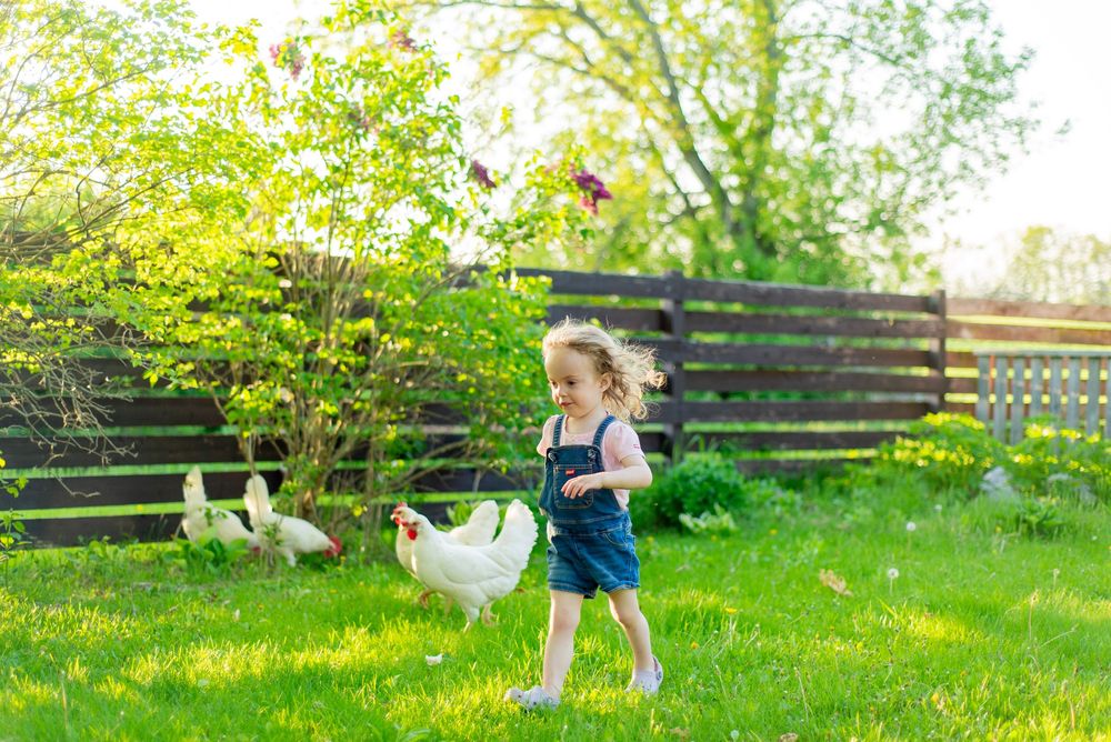 Child in blue overalls runs through grassy backyard while white ducks waddle nearby on sunny afternoon.