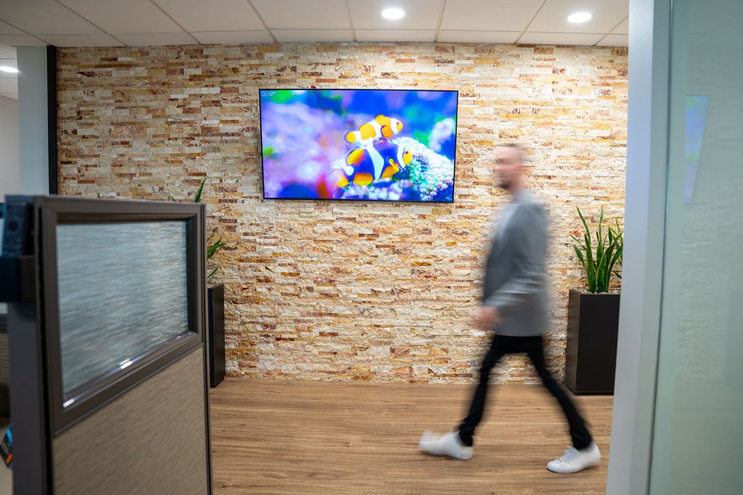 Motion blur of person walking past mounted TV on textured stone wall in modern office hallway.
