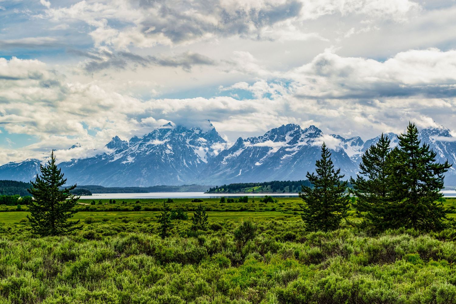 Snow-capped mountain peaks rise above green meadows and evergreen trees under cloudy skies.