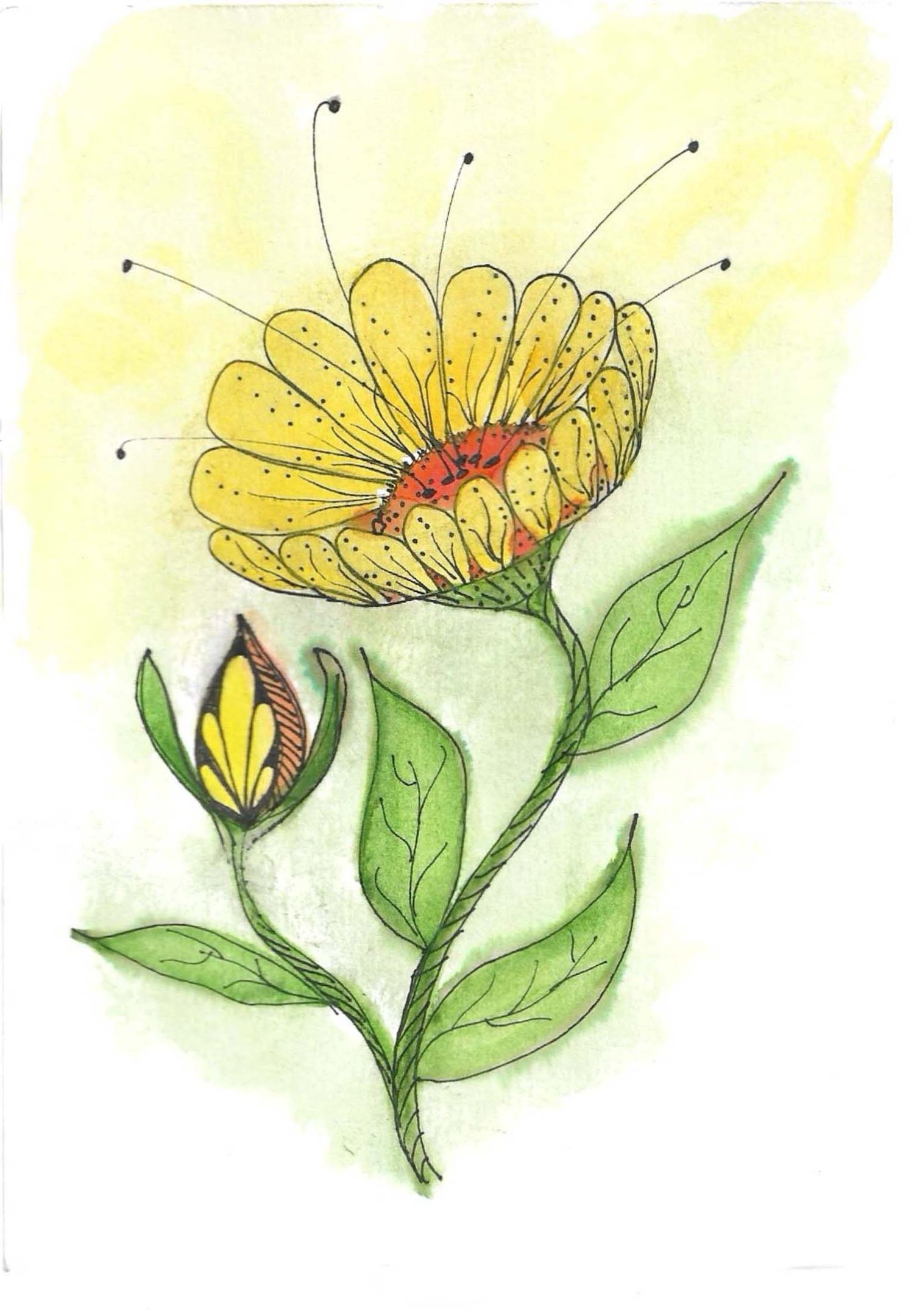 Progressive illustration of a yellow flower blooming with green leaves.