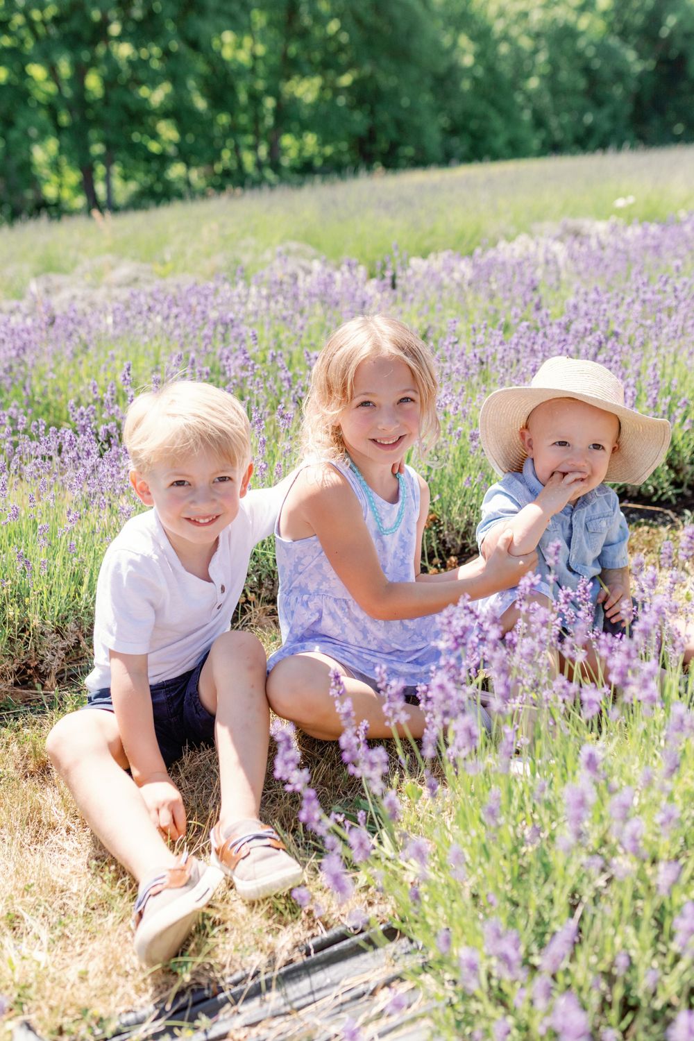 Children playing and laughing together in a blooming lavender field on a sunny day.