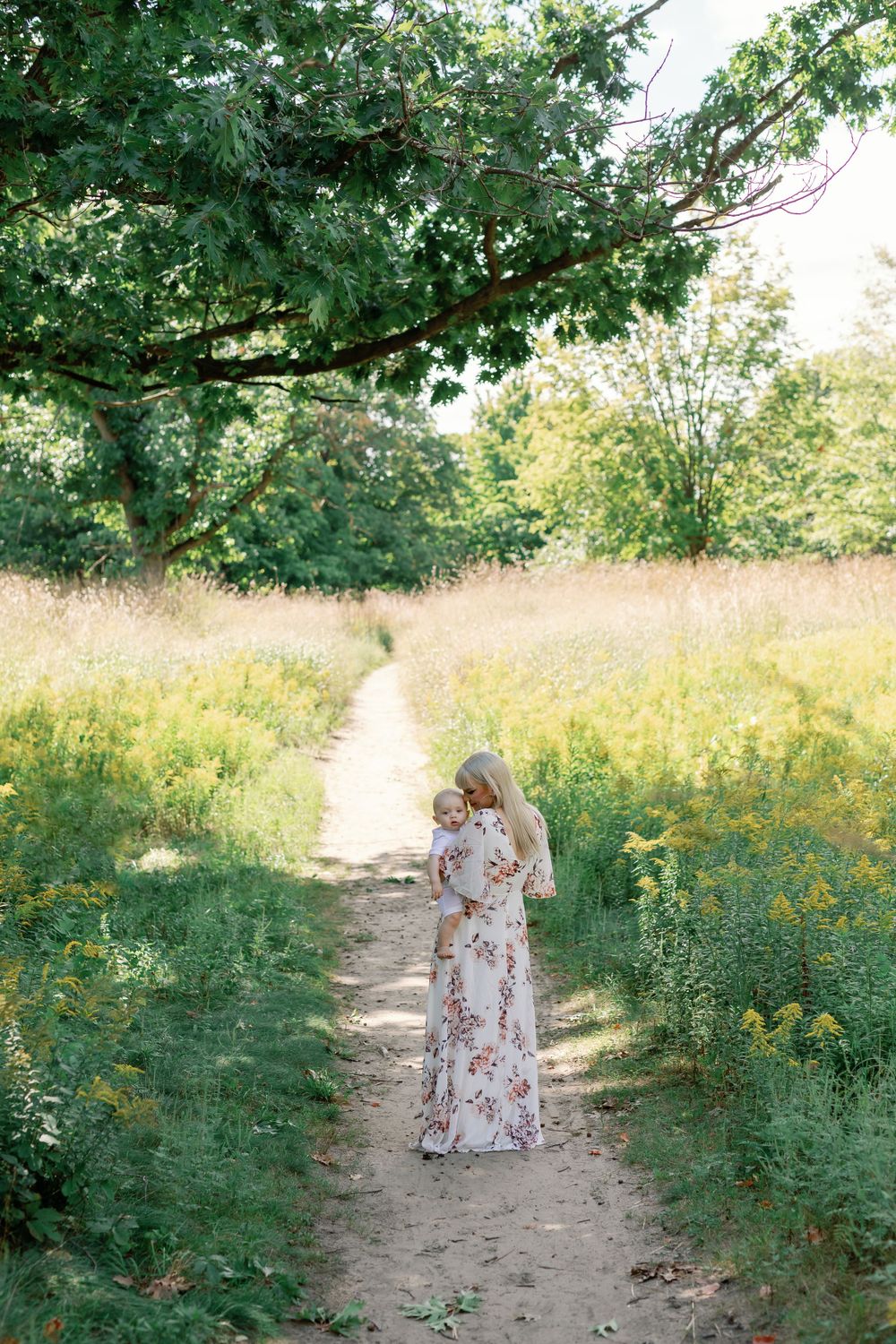 Scenic nature path through wildflowers and trees in summer.