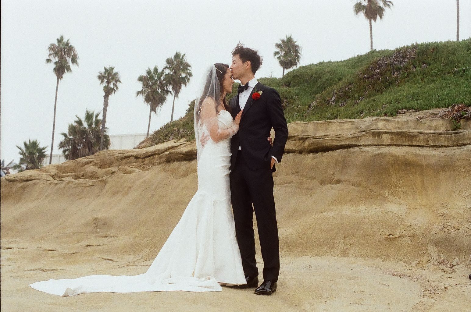 Newlyweds kiss on sandy beach with palm trees at coastal wedding venue.