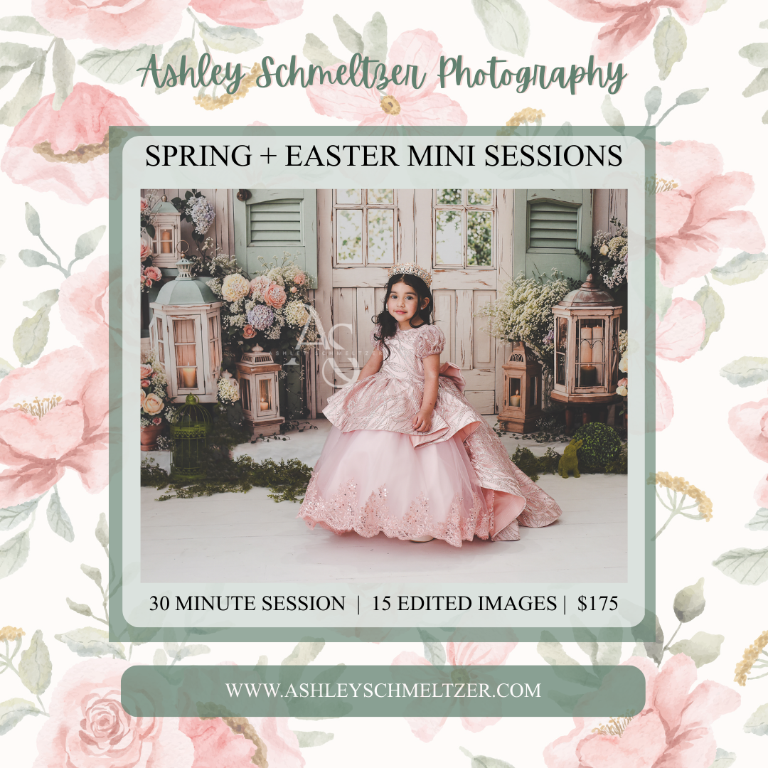Fall photo shoot advertisement showing autumn-themed photography packages and pricing set against warm brown backgrounds.