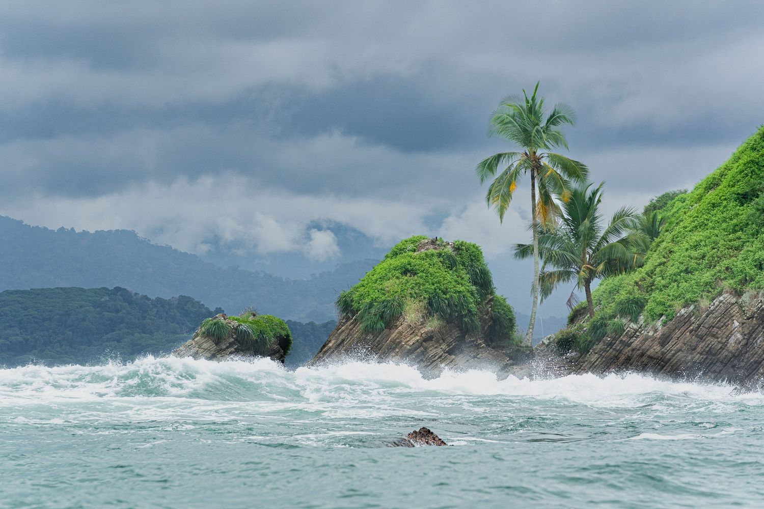 Stormy tropical coastline with palm trees and crashing waves against rocky shore.