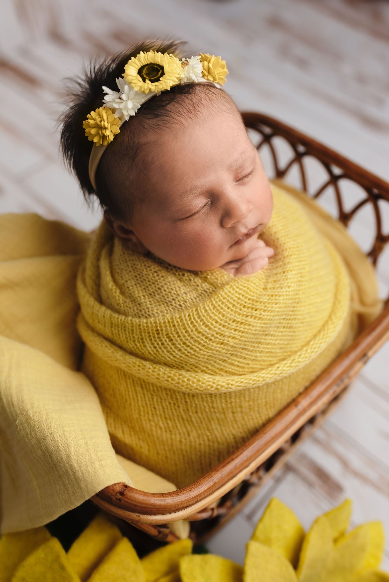 Charlottesville photographer, newborn, family, maternity, baby in yellow wrap in basket in studio photoshoot