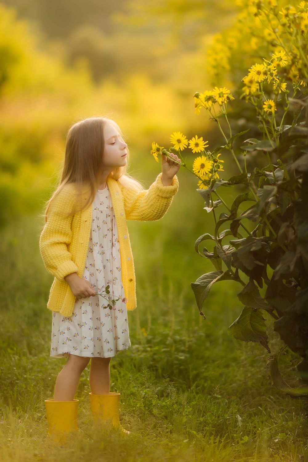 the girl is sniffing the  yellow flowers in the park during the sunset photo session in Vaughan, Ontario