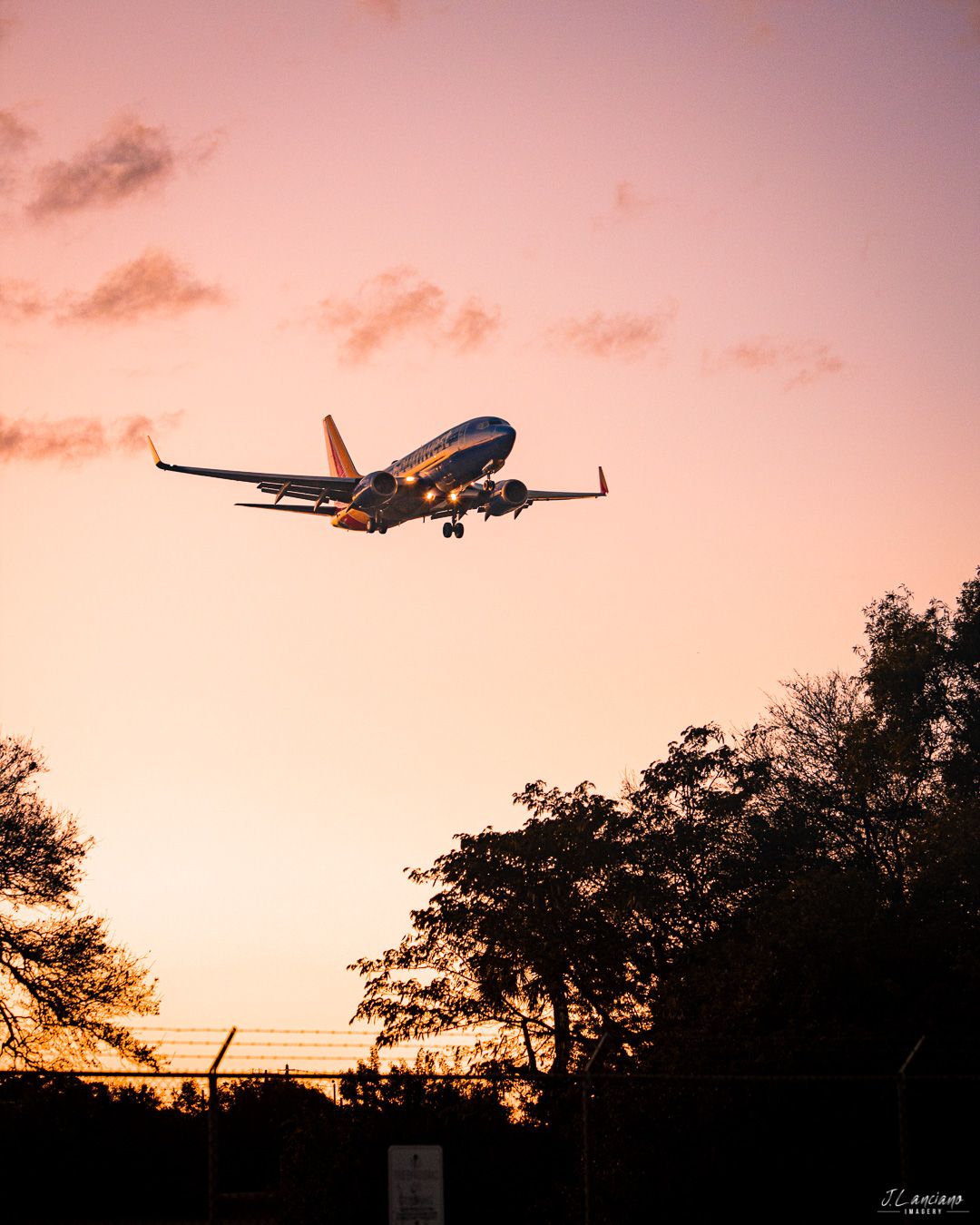 Commercial airplane silhouetted against pink sunset sky with trees in foreground.