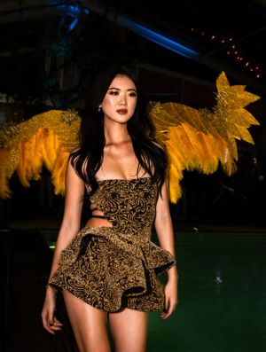 Dramatic fashion shot featuring gold patterned dress with wing-like backdrop in moody lighting.
