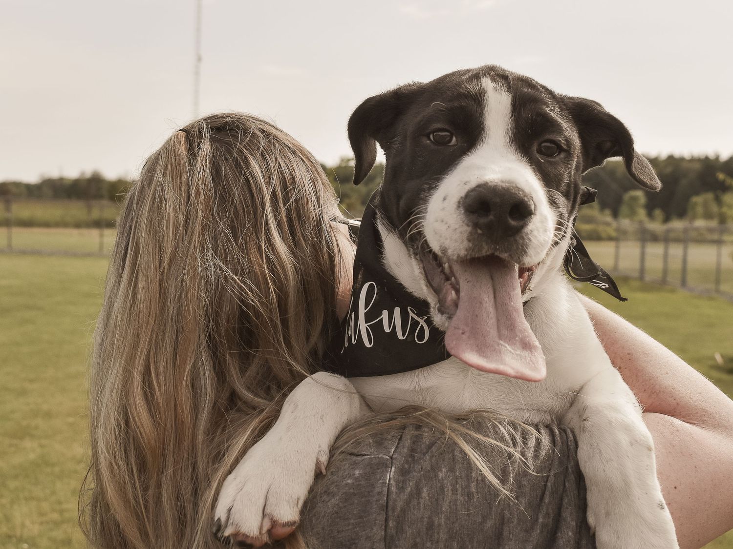 Pet photograph of a happy puppy with his tongue wagging, being held by owner. Blue Onion Photography.