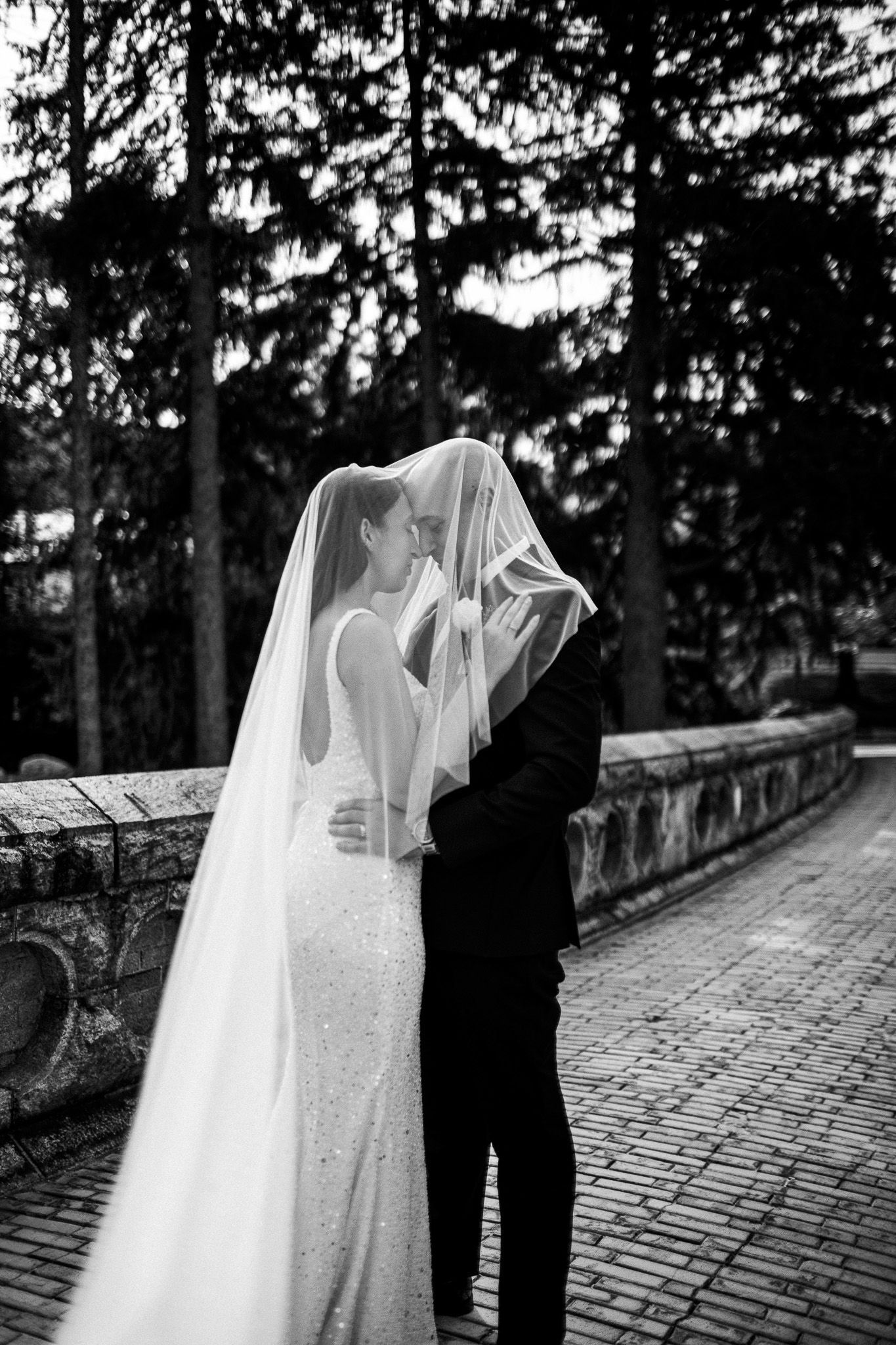 Charlotte, NC wedding photographer