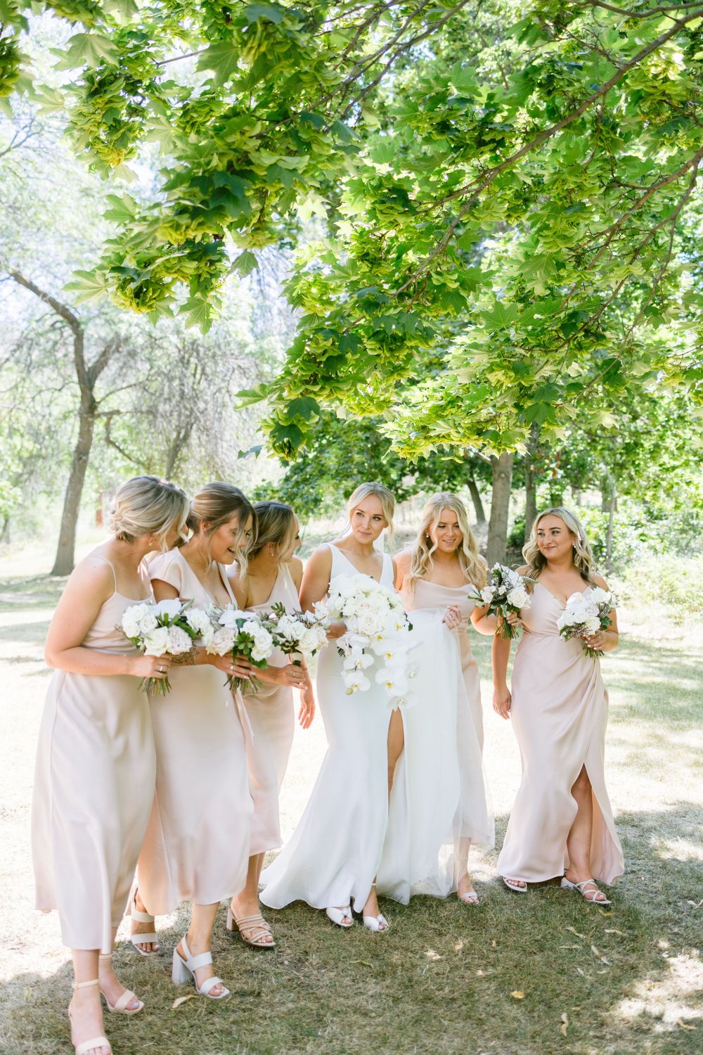 A bridal party in blush pink dresses stands together under green trees on a sunny summer day.