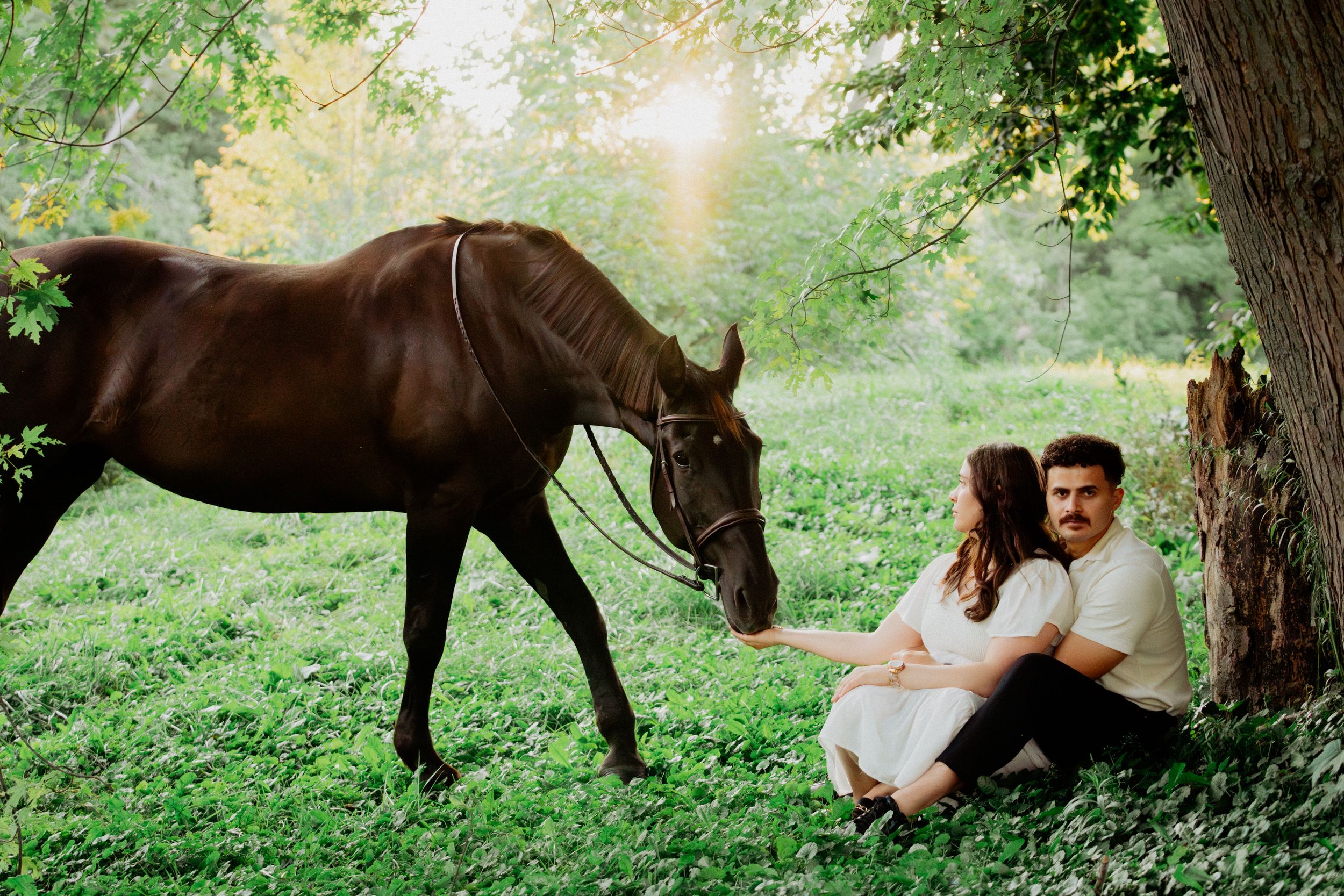 A brown horse grazes in a lush green forest setting as a couple rests against a tree trunk.