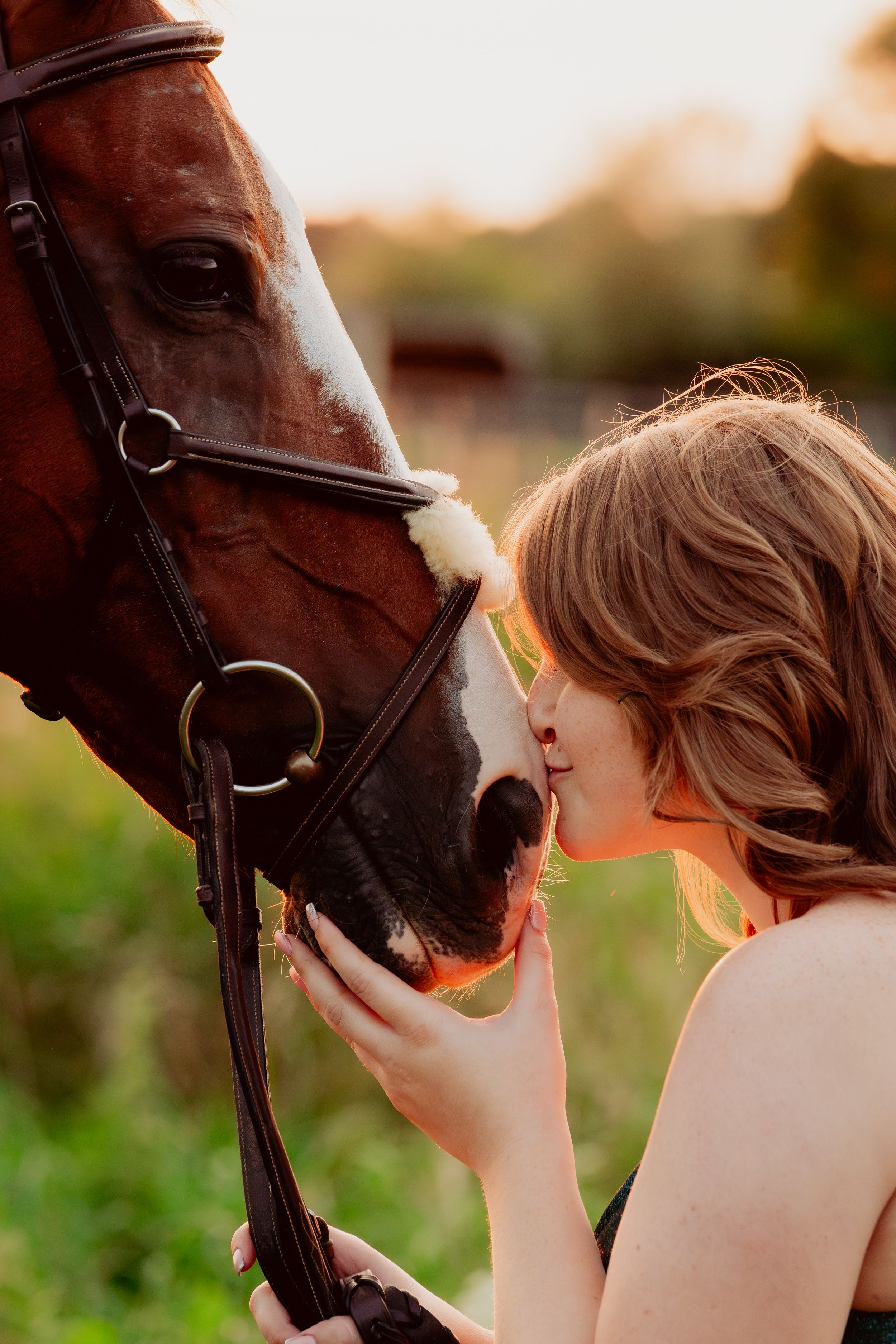An intimate moment between a person and their horse as they share a close connection at golden hour.
