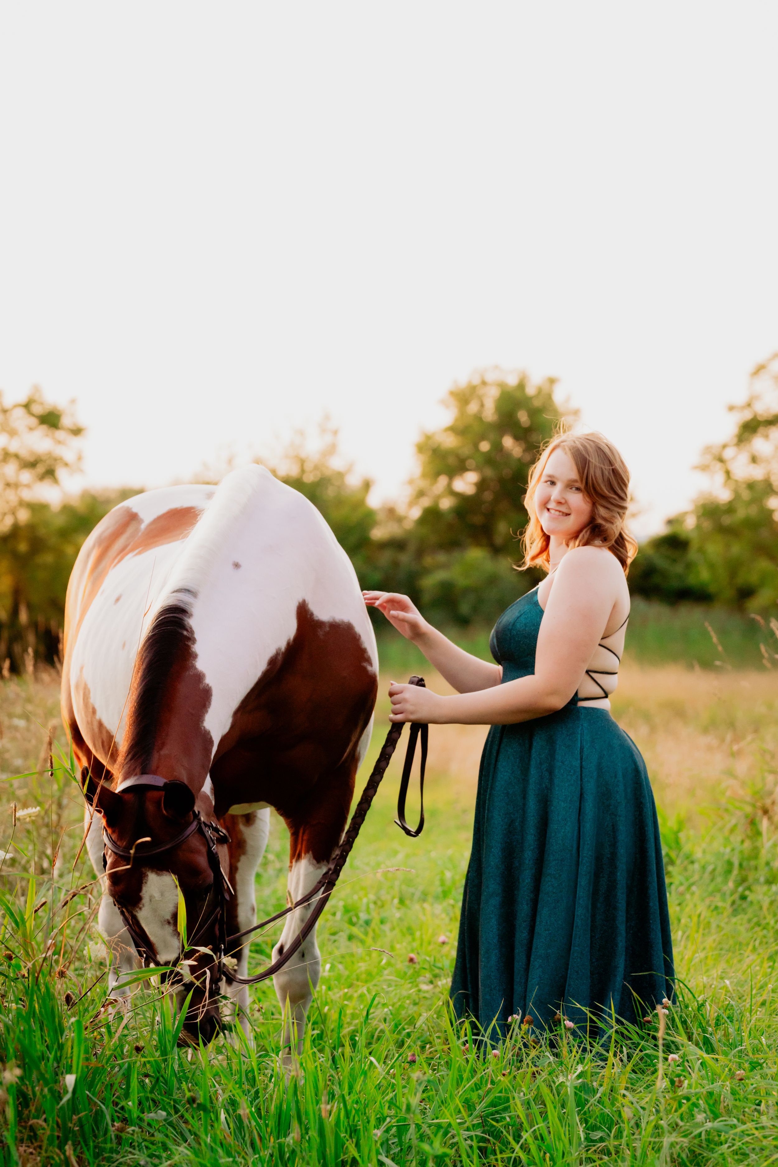 Paint horse grazing in summer field while being led by handler in formal dress.