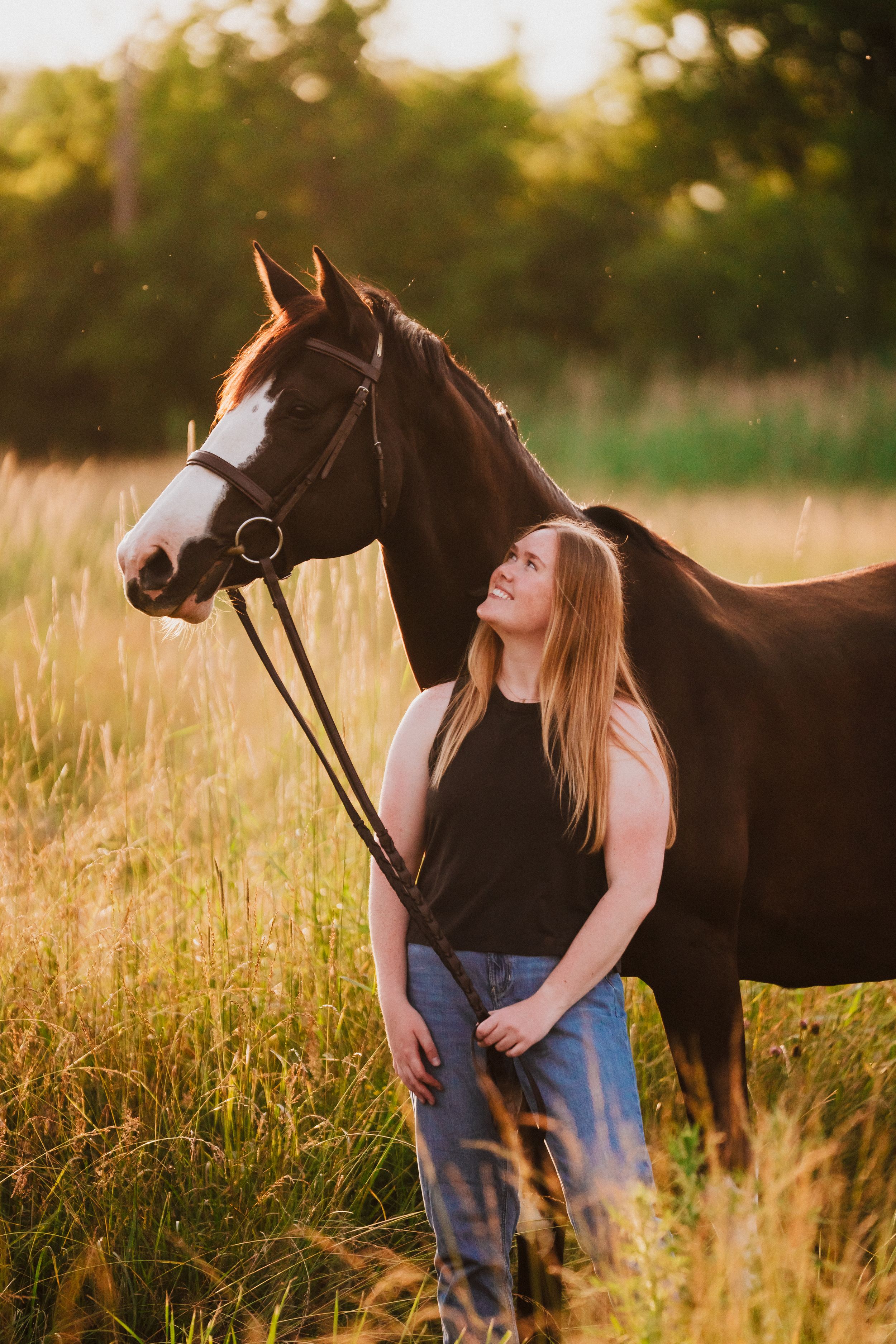 A dark bay horse and companion share a tender moment in a sunlit meadow during golden hour.