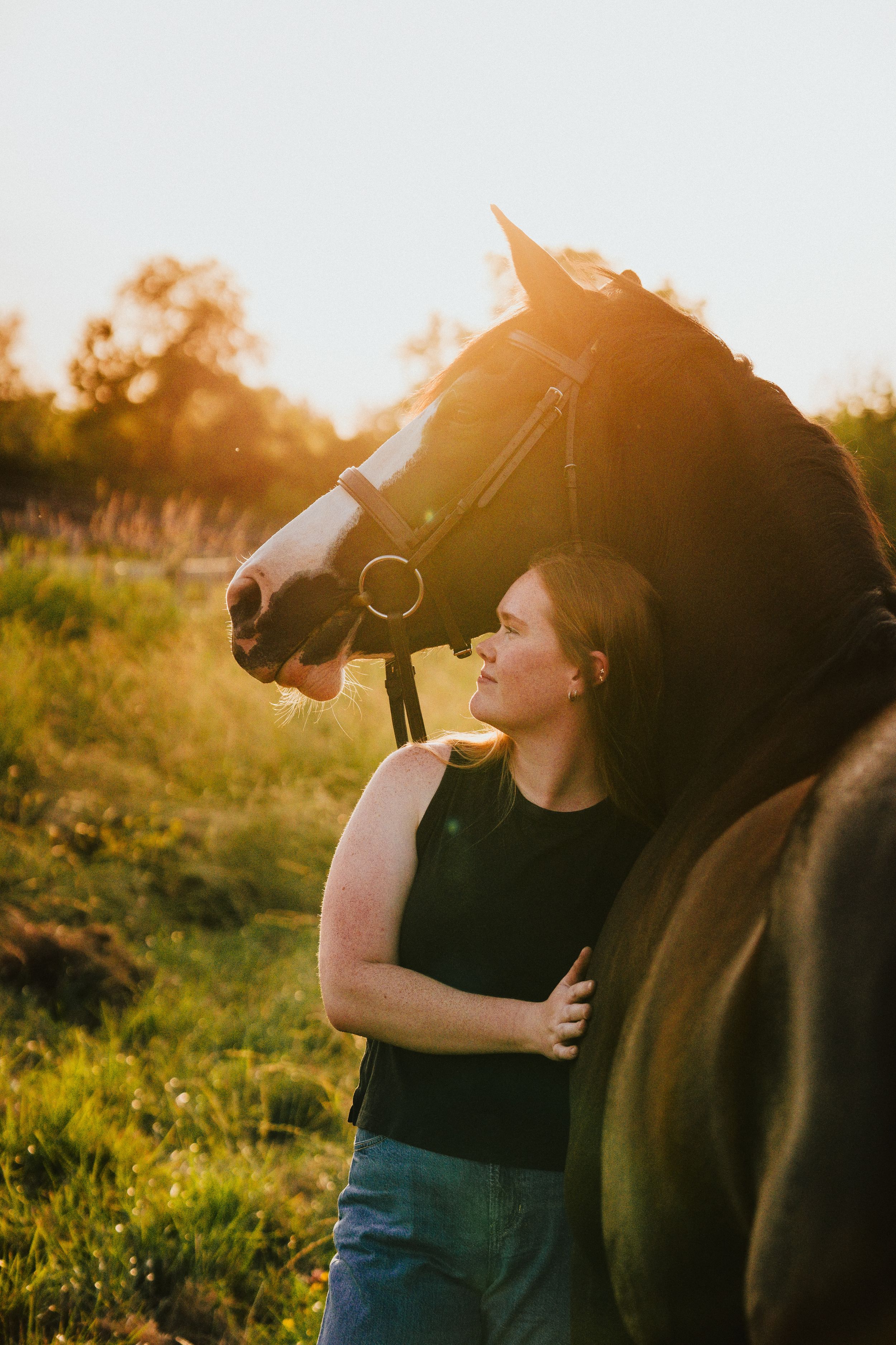 Woman in black top embraces dark horse in golden sunlit meadow during sunset creating an ethereal scene.