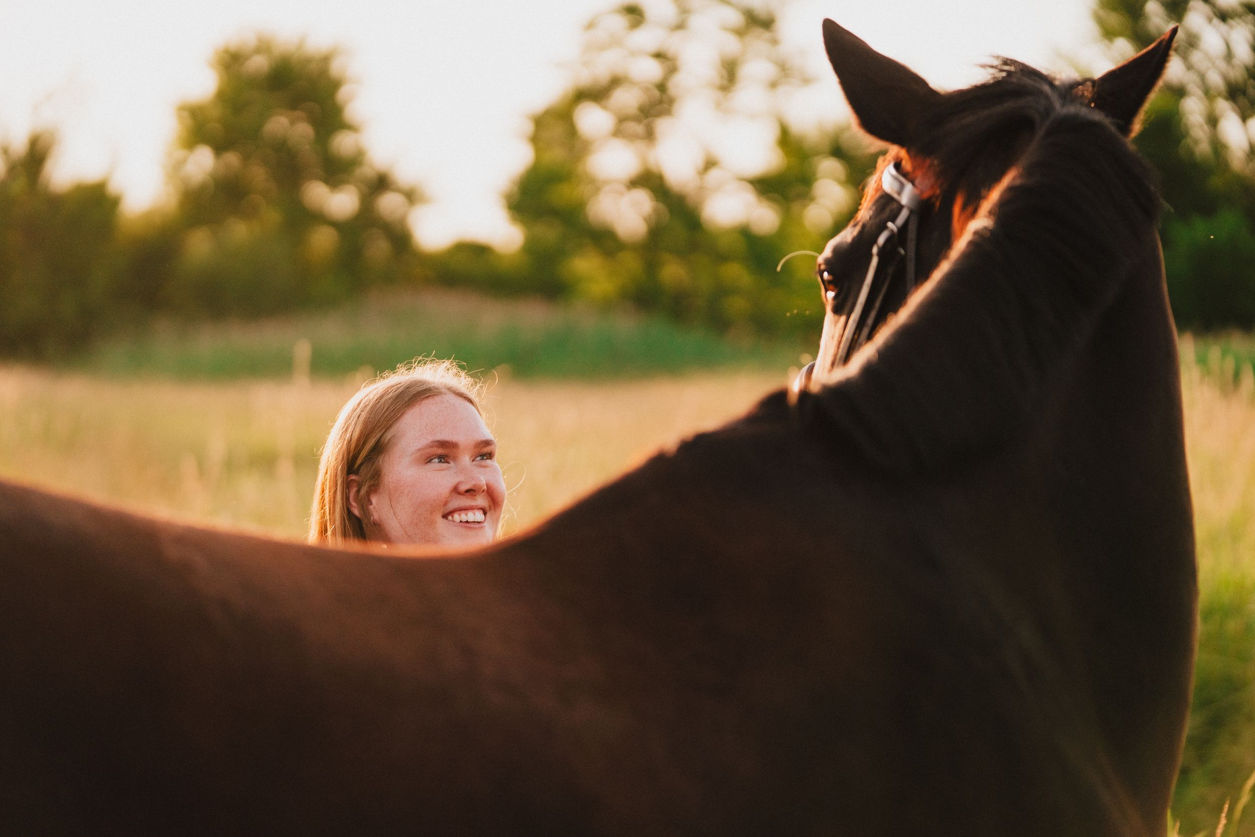 A black horse stands silhouetted against a golden sunset sky in an outdoor setting.