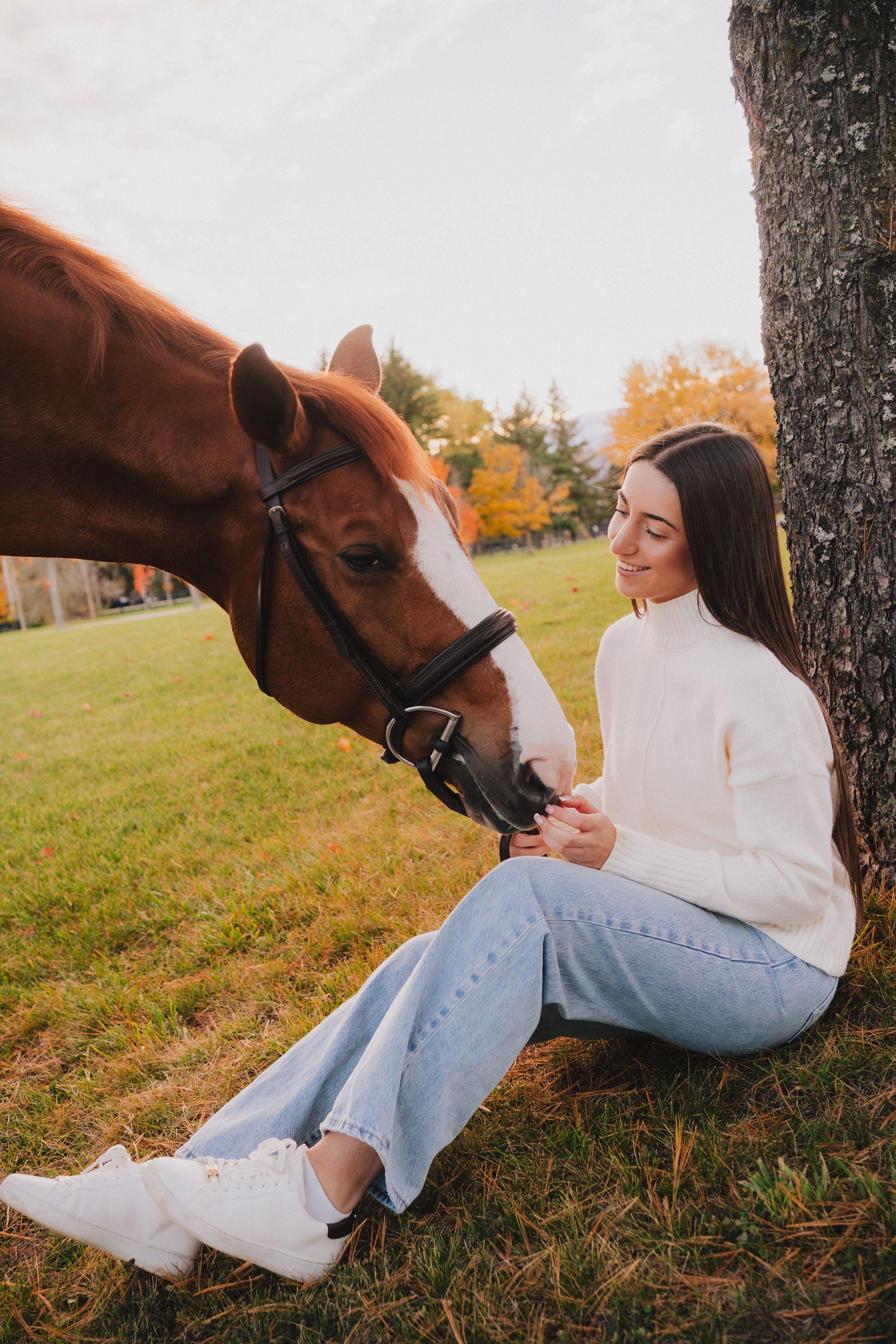 A brown horse nuzzles close to someone in a white sweater sitting against a tree during autumn.