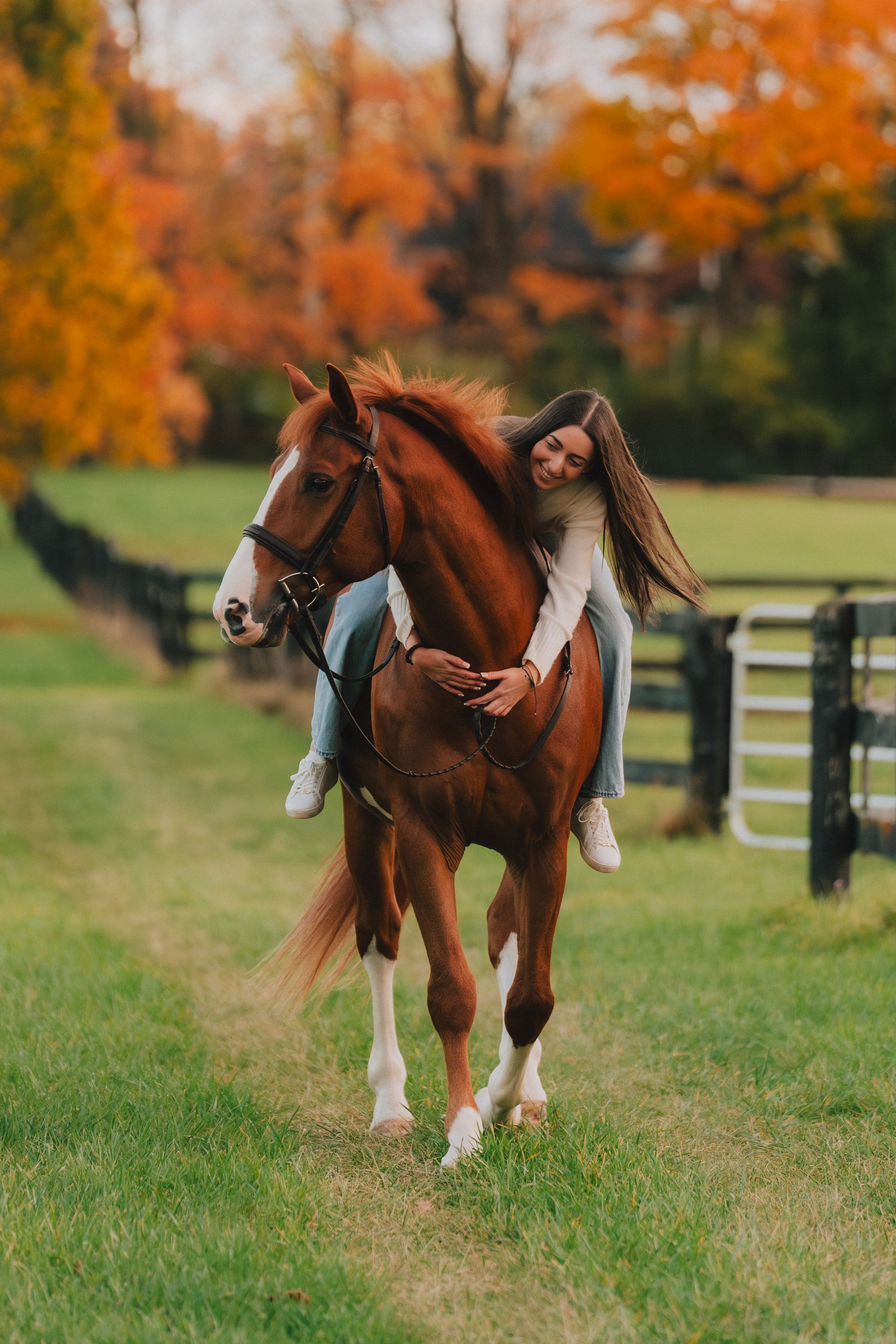 A beautiful chestnut horse with white markings grazes in a fenced pasture surrounded by vibrant autumn foliage.