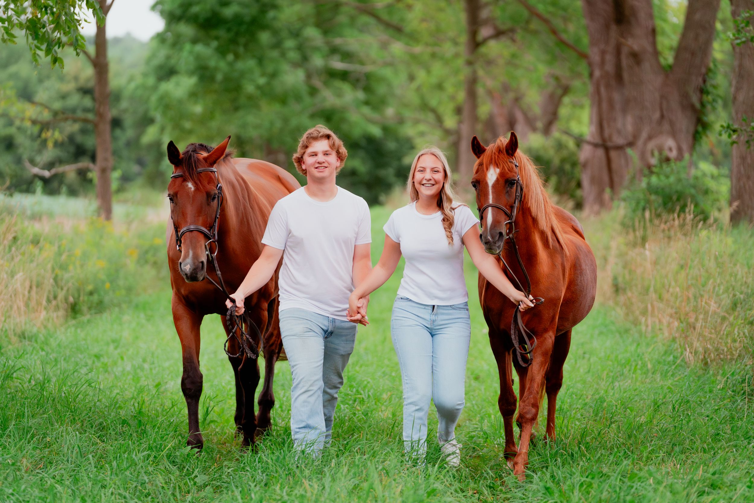 Two pairs of horses and companions walking together through a lush green meadow on a summer day.