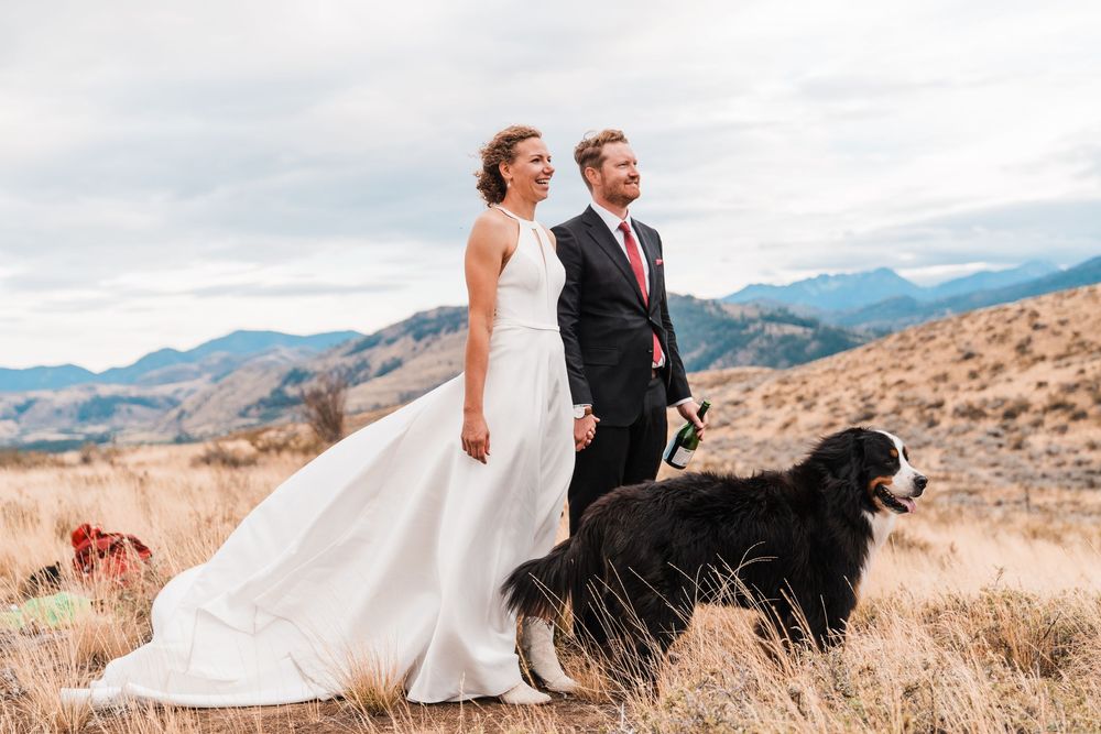 A bride and groom stand with their Bernese Mountain Dog in a scenic mountain landscape.