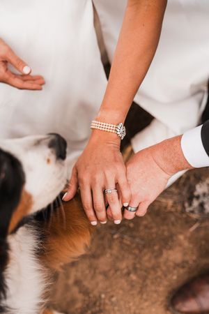 A close-up of a bride and groom's hands wearing wedding rings resting on their dog.
