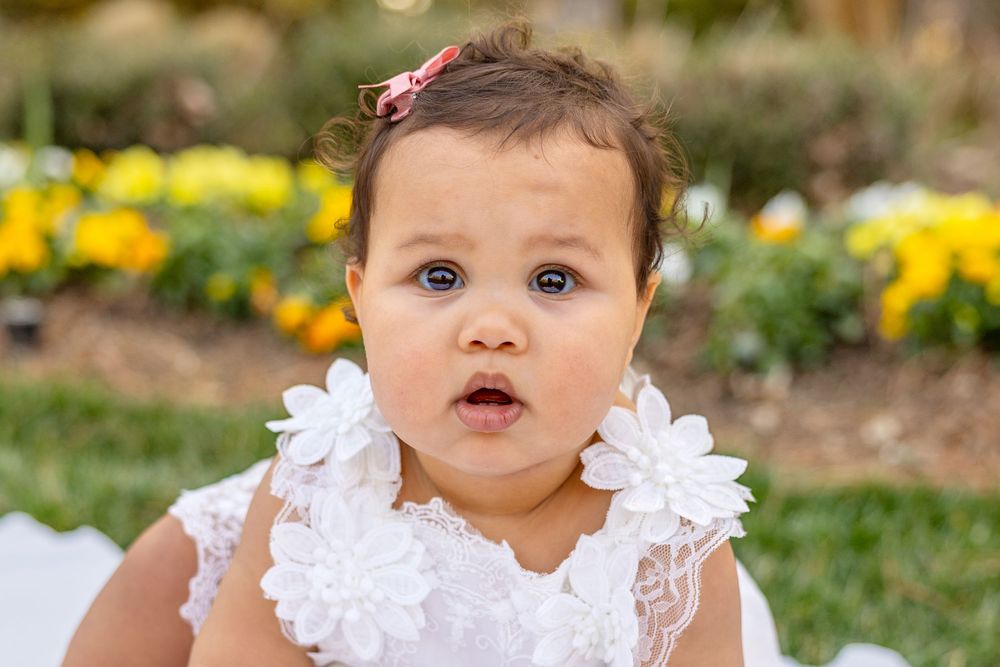 A small child in a white lace dress sits outdoors near a garden with yellow flowers blooming in the background. Raleigh children photography