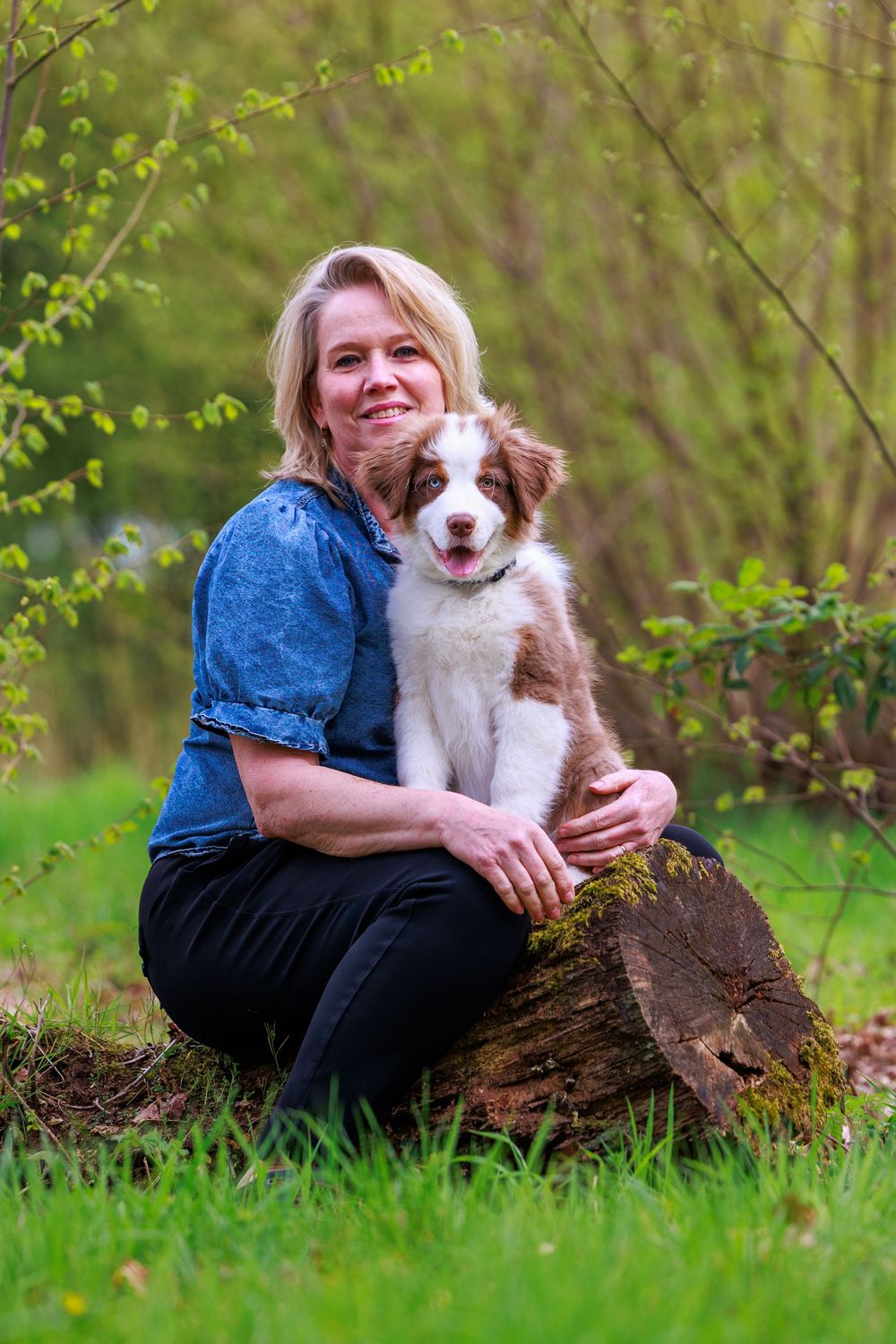 Woman in blue denim shirt sits on a log hugging a brown and white puppy in a lush green park.