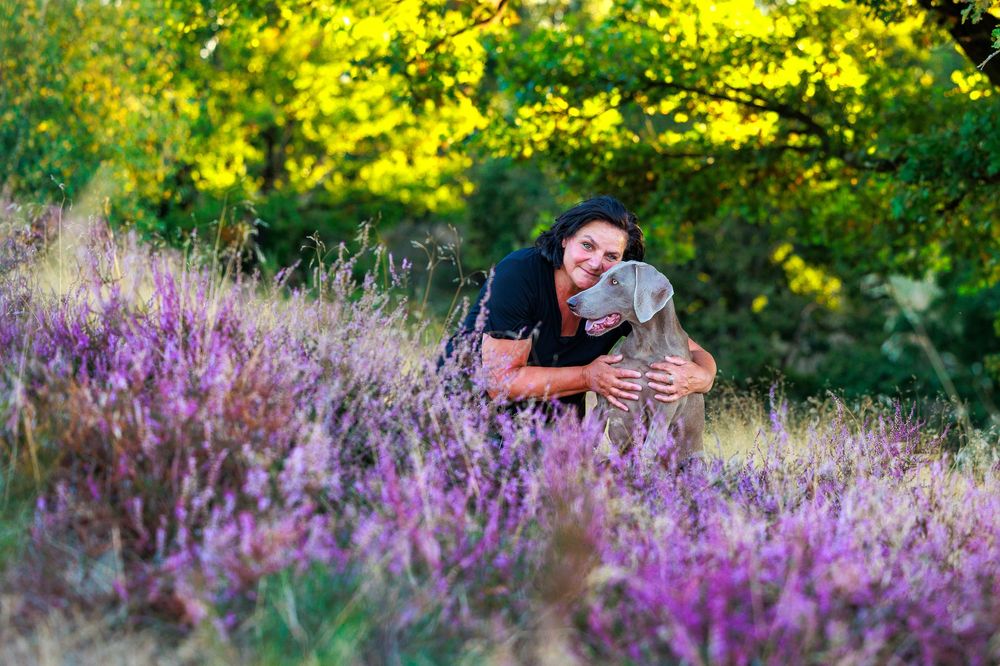 A photographer captures images in a vibrant field of purple wildflowers during golden hour lighting.