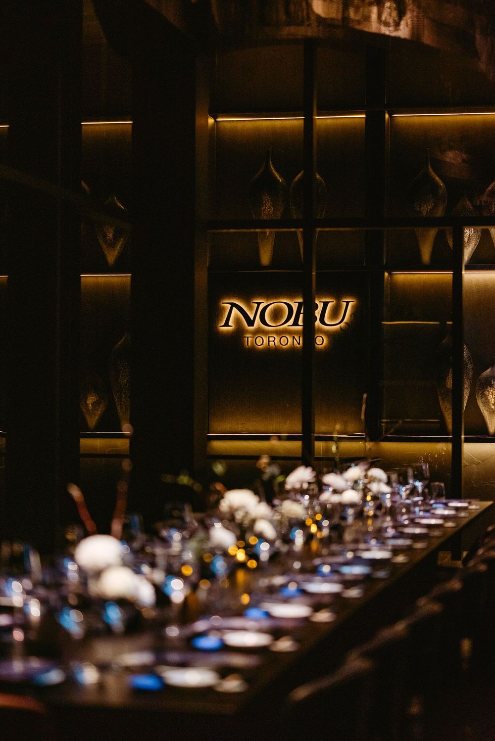 Row of illuminated display cases with NOLU signage in a dimly lit upscale retail environment.