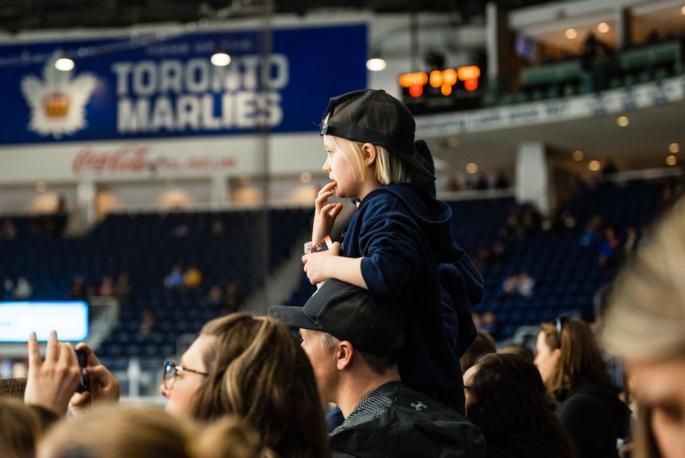 Crowd of sports fans at Toronto Maple Leafs game in stadium seating.