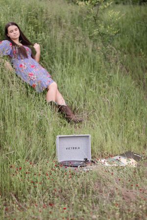 A dreamy outdoor scene with a typewriter and scattered papers among wildflowers and tall grass.