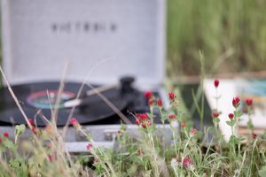 Record player sits outdoors with delicate wildflowers in foreground.