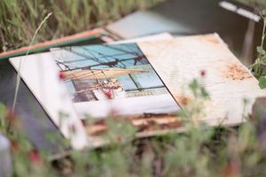 Several photographs are laid out on a rustic wooden surface in an outdoor setting.