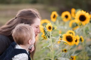 Two people admiring blooming yellow sunflowers in a garden during golden hour.