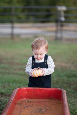 A toddler in navy overalls plays with orange pumpkins in a vintage red wagon outdoors.