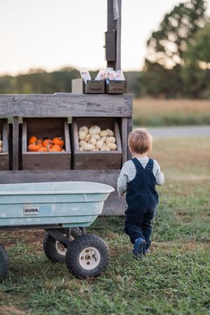 A small child explores a rustic wagon filled with pumpkins and gourds in an autumn field.
