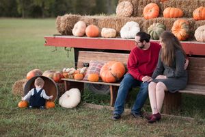 A row of orange and white pumpkins sits on a rustic wooden bench in an outdoor setting.