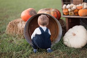 A rustic display of orange pumpkins and white gourds arranged in wooden crates on grass.
