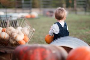 Small child in overalls looking at autumn pumpkins and gourds at a farm stand.