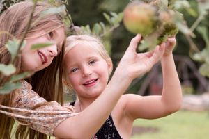 Joyful moment captured in an apple orchard on a sunny day.