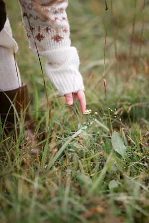 Close-up view of feet walking through grass in white socks.
