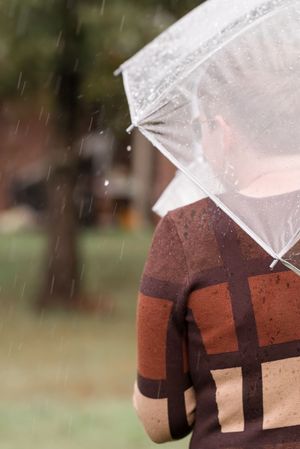 Rain falls on a transparent umbrella against a blurred outdoor background with brown and green tones.