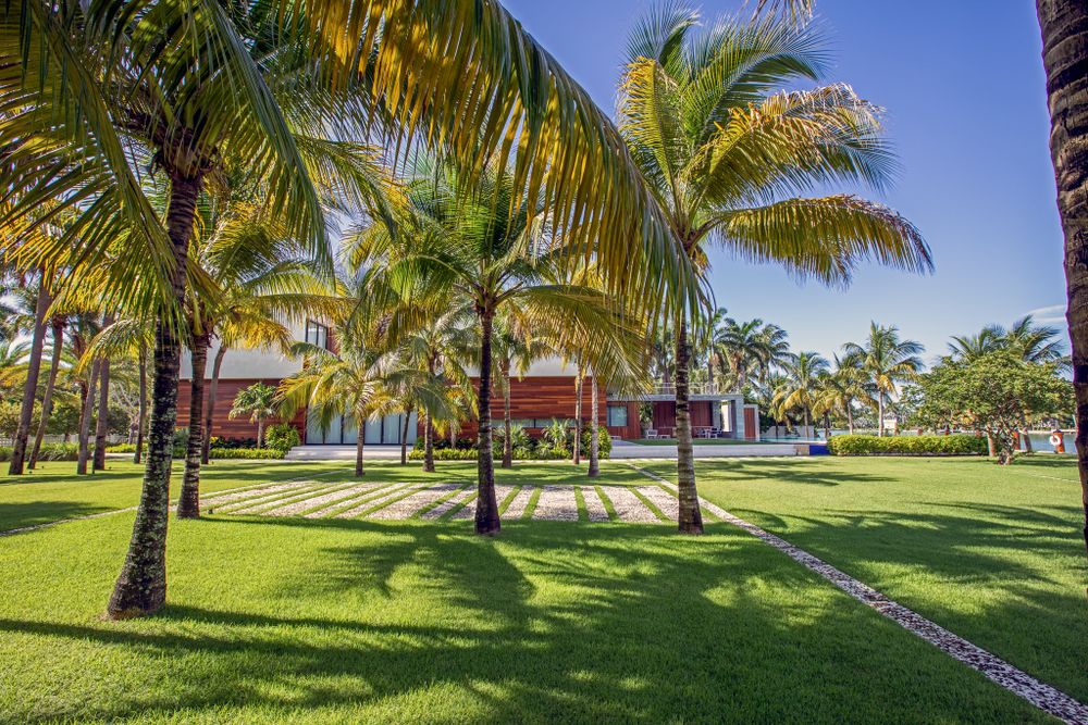 Tropical garden path leading to modern house through rows of swaying palm trees.